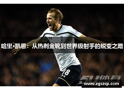 哈里·凯恩：从热刺金靴到世界级射手的蜕变之路